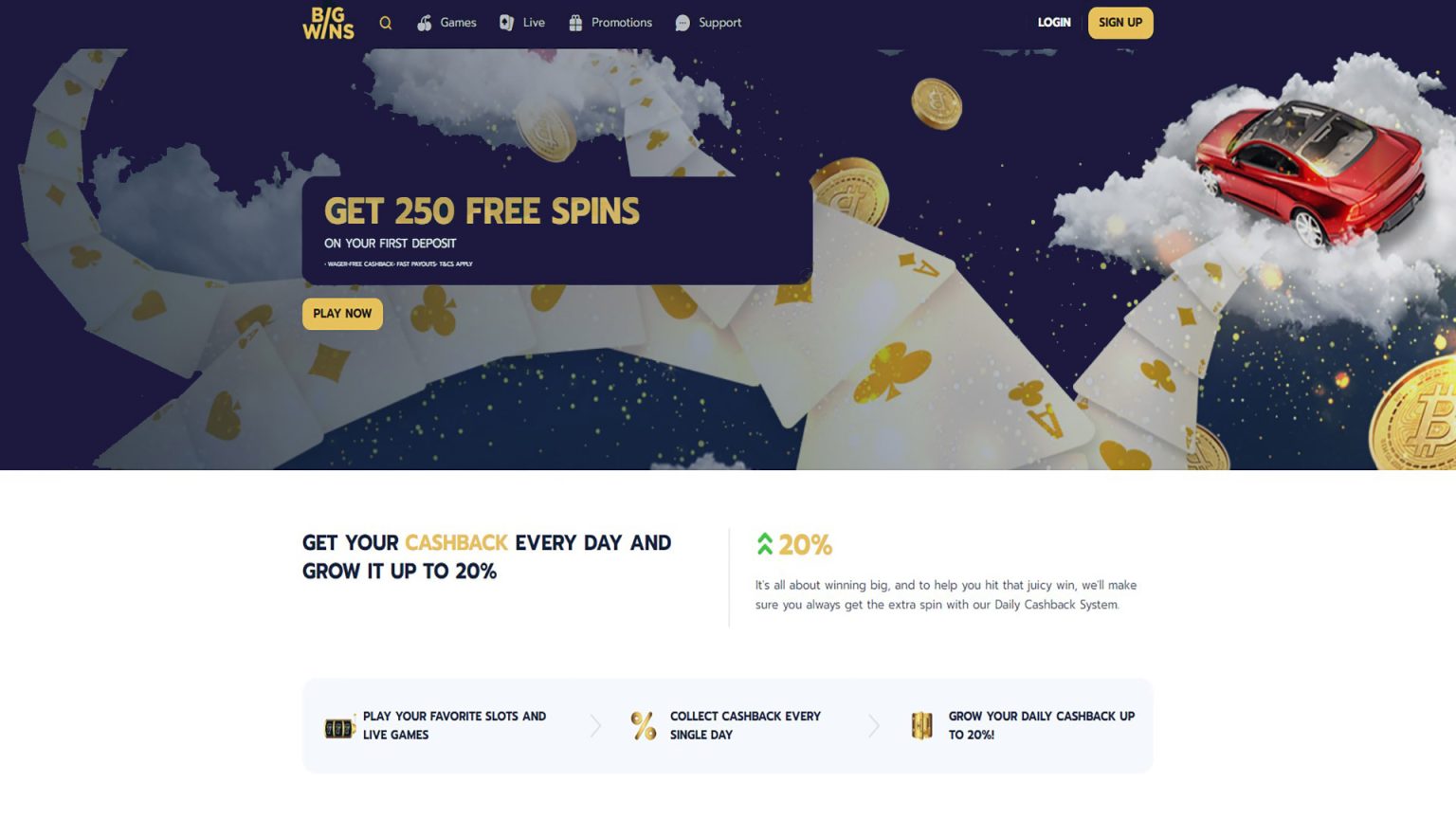 Whole Testimonial bigwins.com